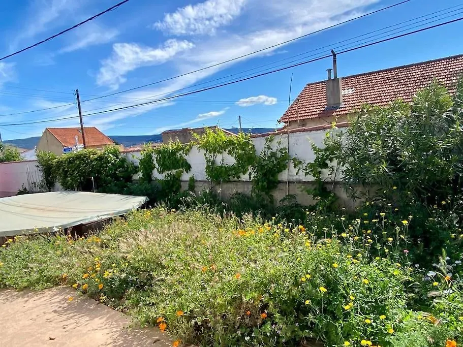 Soleiado 10 Pers Eco-Gite Des Calanques Apartment La Ciotat